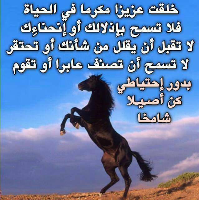 sagrkhalled's tweet photo. هكذا يجب أن تكون 
. https://t.co/AAm6KjNpsa