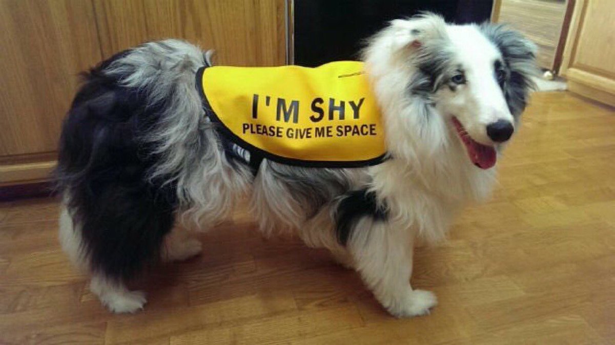 Me on twitter vs me irl 😅💁🏽