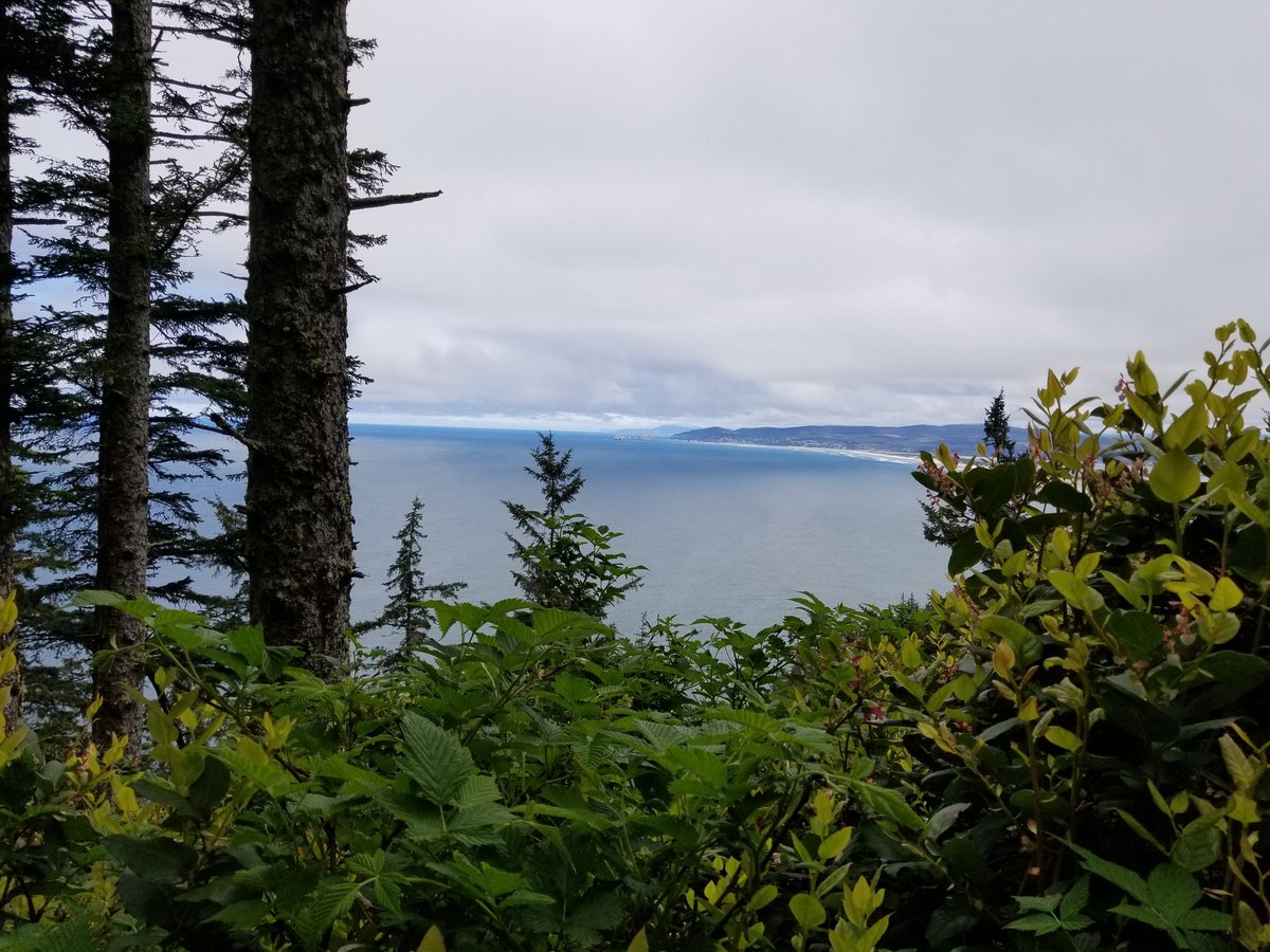 nuclearbeard's tweet image. Hiked Cape Lookout today, goddamn amazing views. Great place to hit 10000 steps.