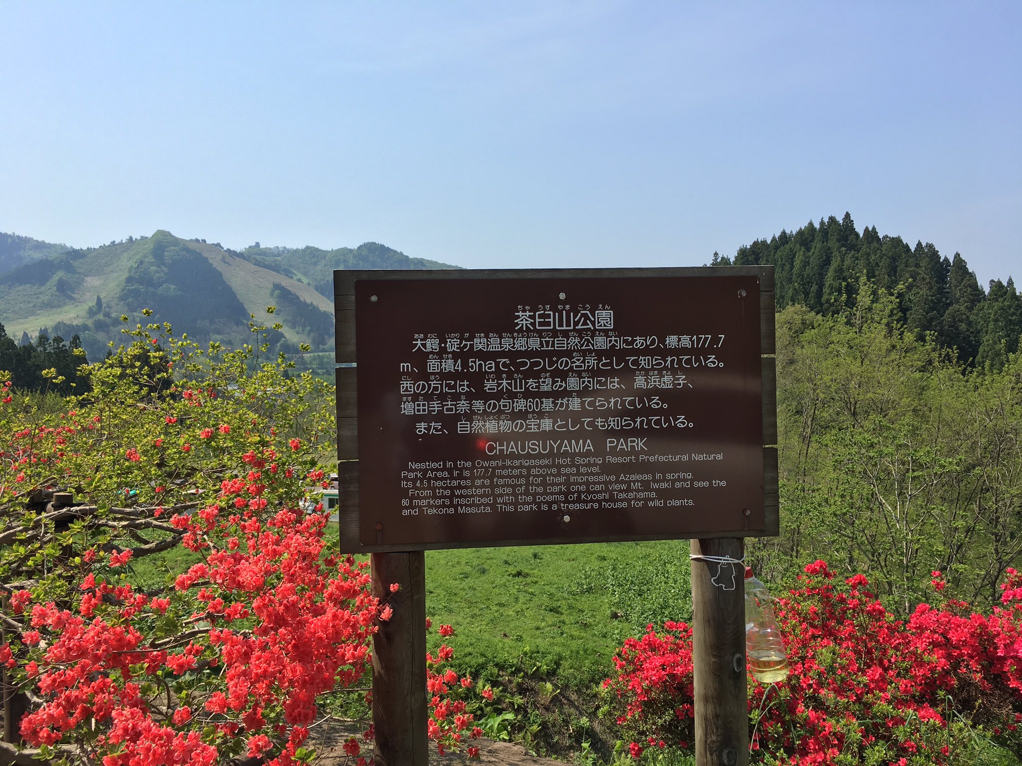 津軽為信 茶臼山公園はつつじの名所なのじゃ 大鰐温泉つつじまつり 大鰐 T Co Vd3tnhgp6t Twitter