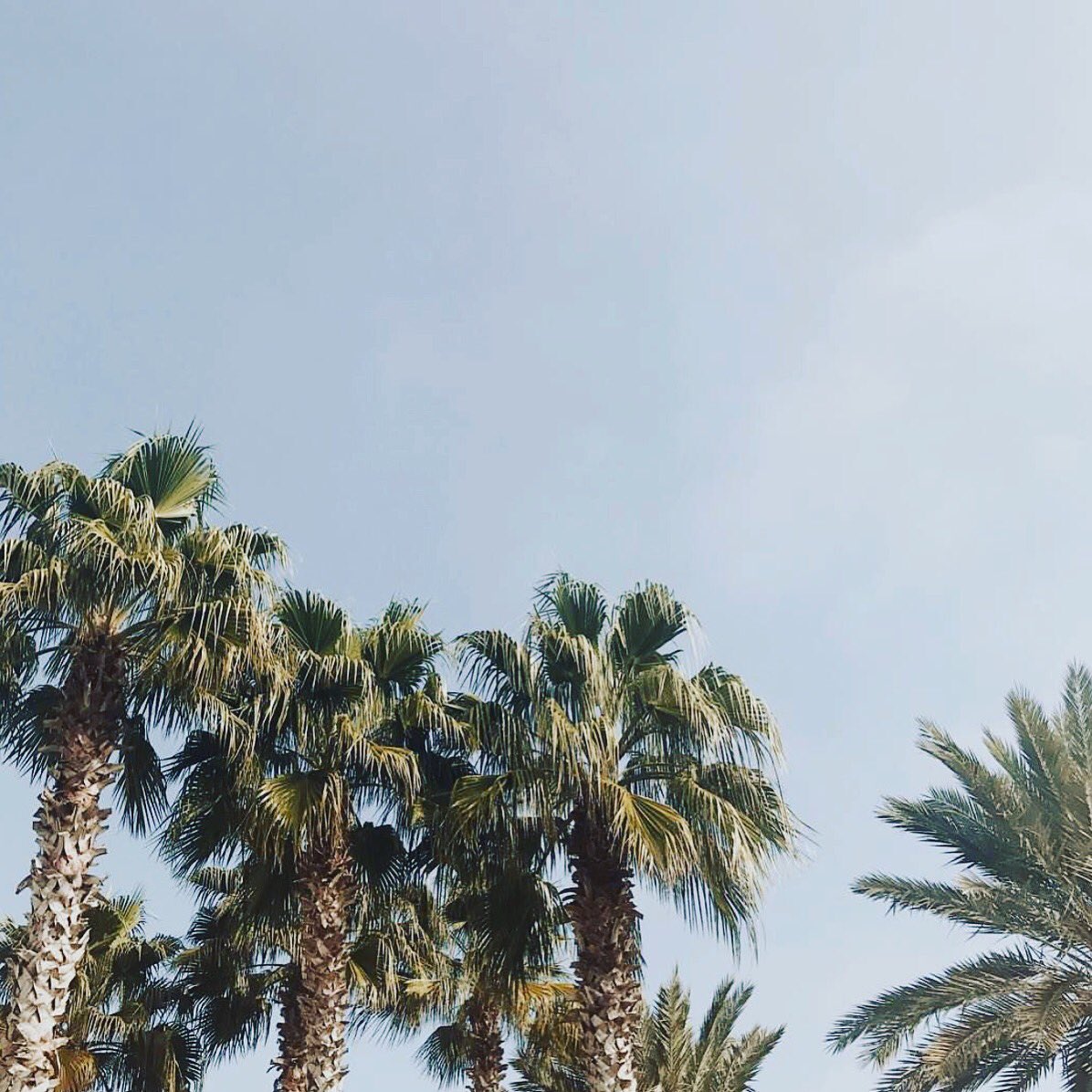 TheLensBar's tweet photo. Stop by the Lens Bar in Seacrest or at the Hub to find the perfect summer pair of sunglasses to make the summer sun more fun to enjoy. 🕶 https://t.co/flpfByBvSQ