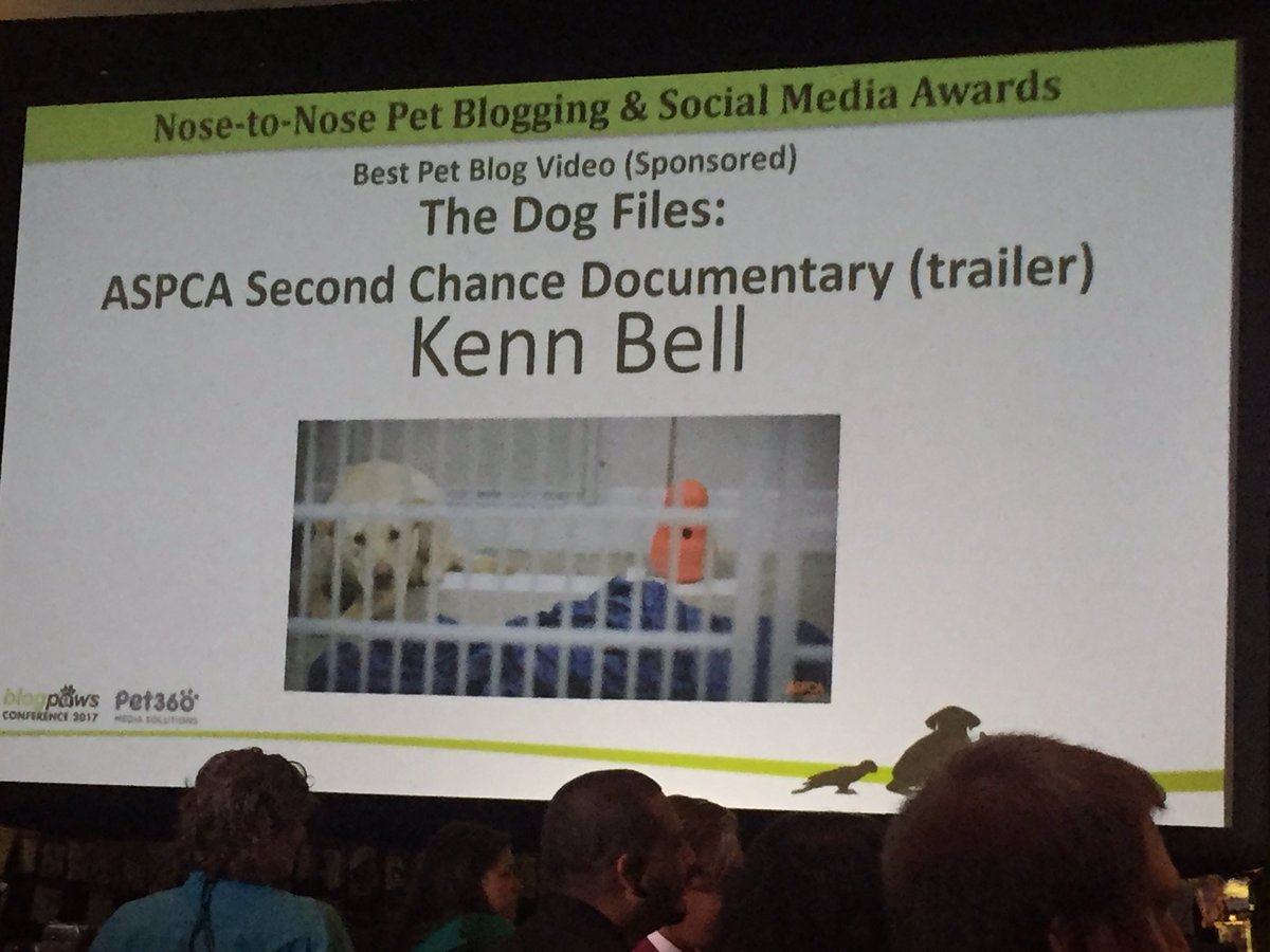 kathleengage's tweet photo. #blogpaws rocks https://t.co/We6pJbJn7f