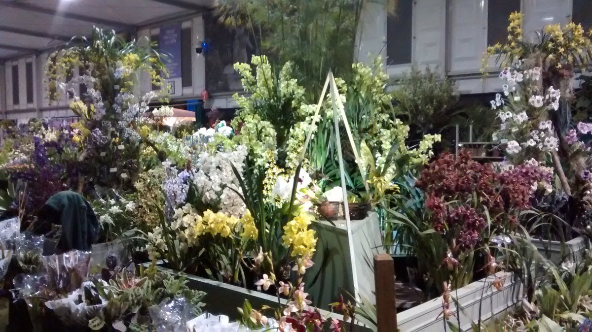 EYOrchid's tweet photo. Long day, but we're happy. One day to go. #RHSChelsea #BuildDay2 https://t.co/2P38UZEp9f