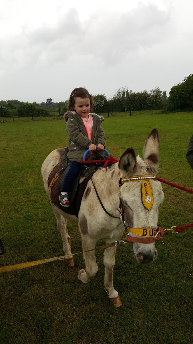 Coops86AJ's tweet photo. @boothstownhf Really wanted to win something more than Vimto on the raffle #hotvimtoforbed. Great School Event as usual :-) #donkeyfun https://t.co/61xl8xmQnO