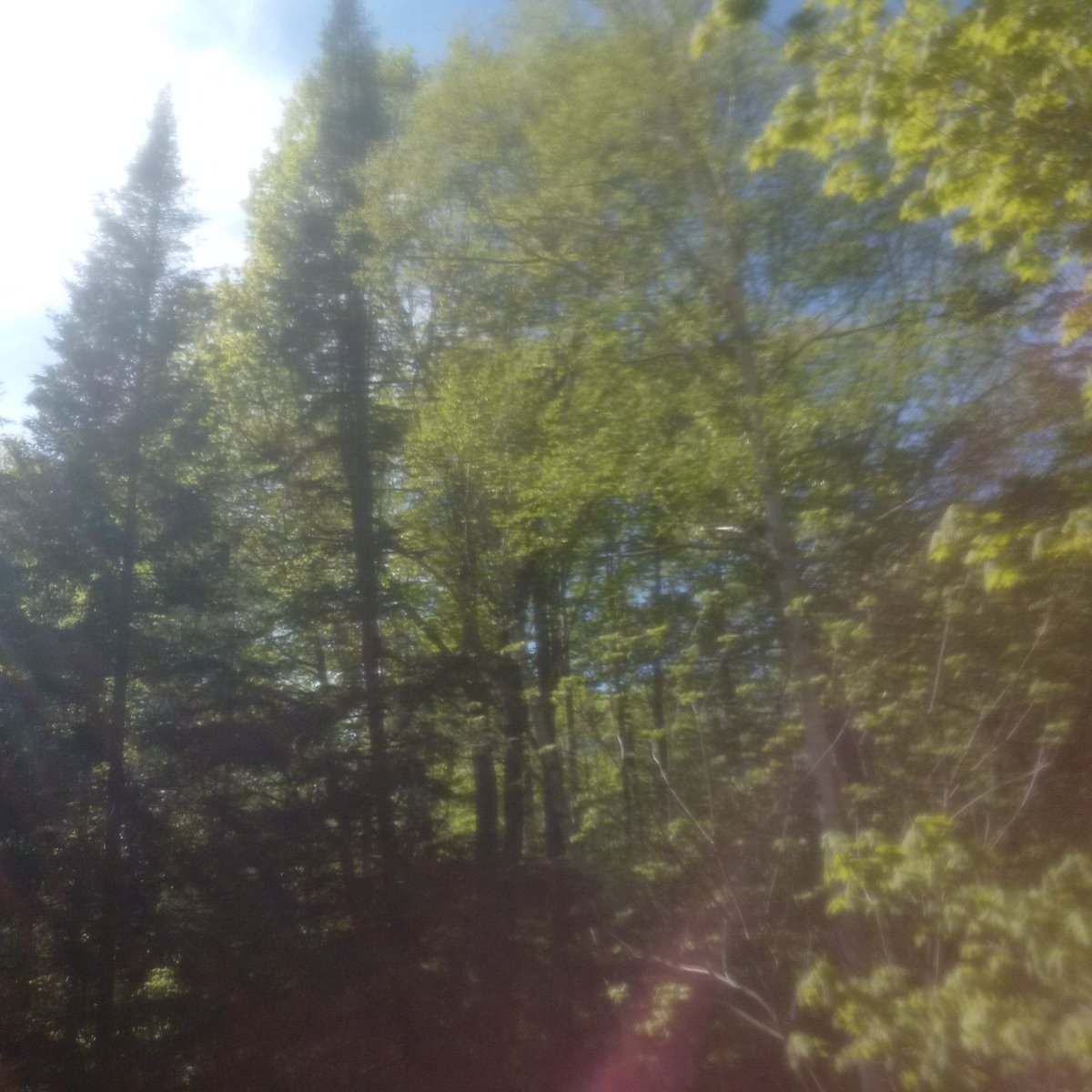 LWLOttawa's tweet photo. Hey Canada
WE have a big crush on YOU
#longweekend #Canadianweekend
#greatoutdoors. #freedom #thankyou https://t.co/h1kRsw5GzK