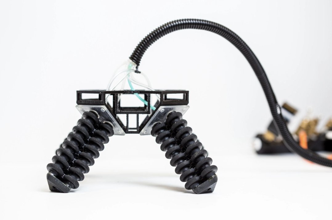 proactivevee's tweet photo. 3D-printed soft legs can help a robot walk across rough and rocky terrain https://t.co/ElbsvqYJ3h https://t.co/oBVhpvOi99