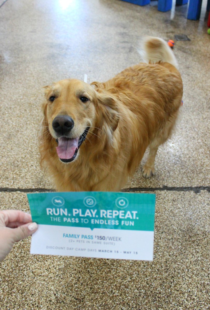 PPRPhoenix's tweet image. Don't miss out on our Family pass for only $150/ week! Available only until the end of May!  #runplayrepeat #petresort #az #phoenix