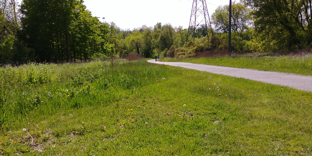 MapleLeafsDerek's tweet photo. First long bike ride in #6ix since 2006! #DonRiver #WeightbeGone https://t.co/zGrr2gNxAT