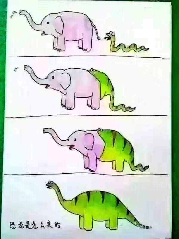 drachylegs's tweet photo. How dinosaurs were born https://t.co/xeVsH3khmo