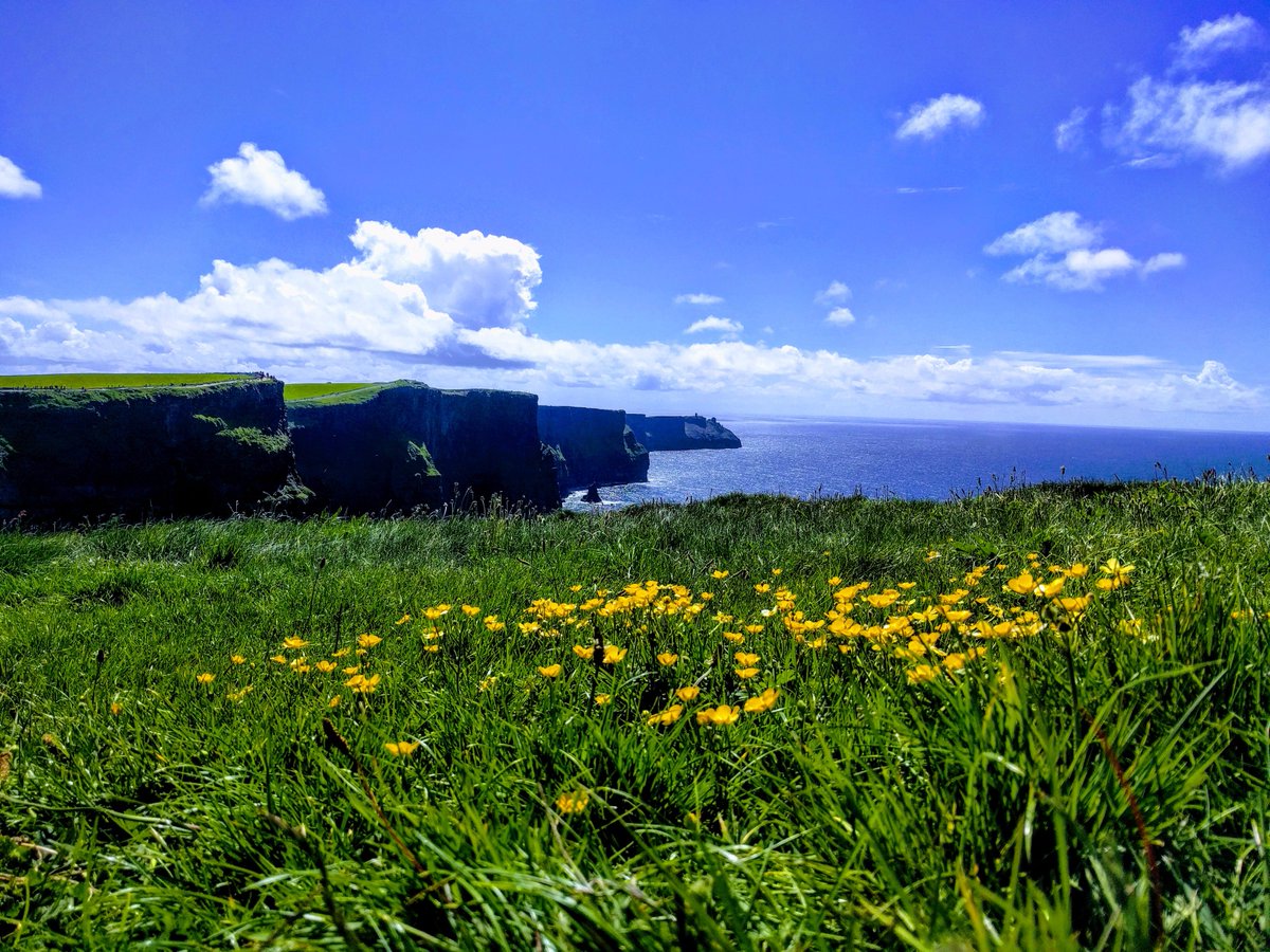 candiloving's tweet photo. #ireland #SeaSide #landscape #cliffsofmoher #wilderness #nature #photography #picturethis #picoftheday https://t.co/rcGOLTSMkU