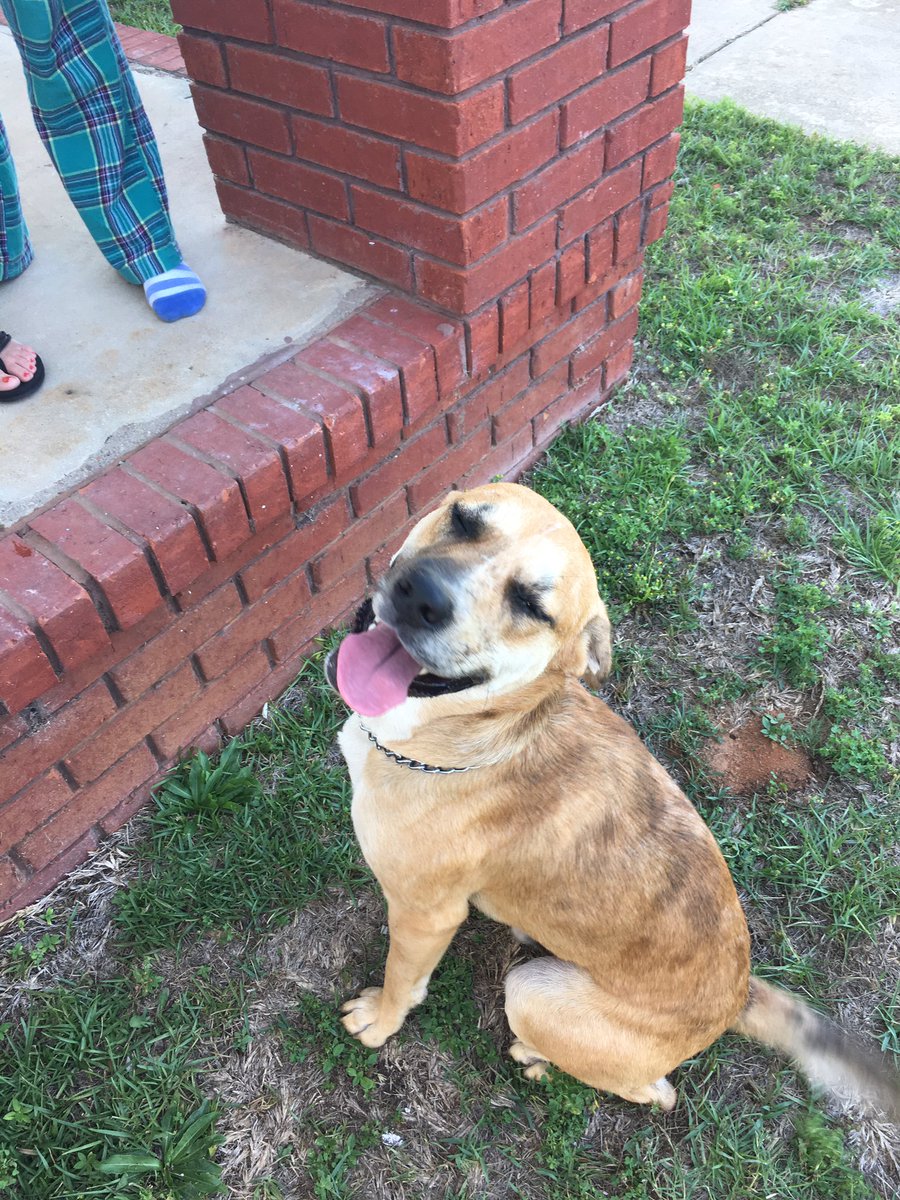 elizabeth tweet media