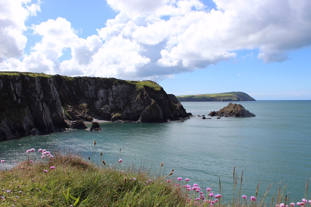 VIPWales1's tweet photo. Fantastic walk, lovely company and a beautiful day here in Newport. #FindYourEpic @LondonWelshCCLL @newportpembs @VisitPembs @visitwales https://t.co/4hgHrPzRgW