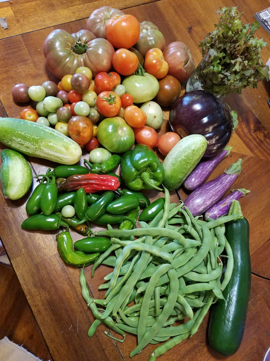 mofitt261's tweet photo. Today' harvest #foodforrunners #261fearless #adidas #BOSE https://t.co/Ugp65mE59b