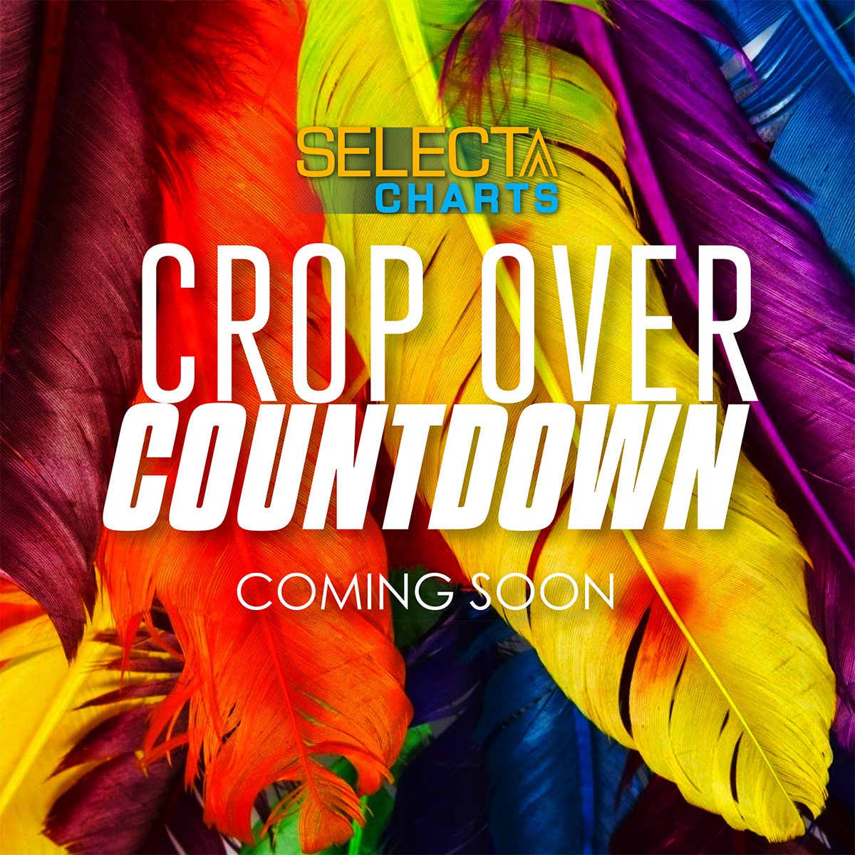 SelectaCharts's tweet photo. @SelectaCharts #CropOverCountdown - We Choose The Best Crop Over Music Videos Ever. You Give Us Your Picks. Coming Soon. #Barbados #CropOver https://t.co/E9VtwG9zeR