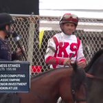 WOW!!!! Congratulations Cloud Computing! Grandson of A.P. Indy 1992 #BreedersCup Classic Champion and sire of BC Champs Eldaafer &amp; Tempera 