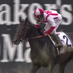 WOW!!!! Congratulations Cloud Computing! Grandson of A.P. Indy 1992 #BreedersCup Classic Champion and sire of BC Champs Eldaafer &amp; Tempera 