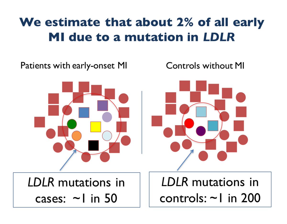 VietHeartPA's tweet photo. Addressing monogenic risk 1st. Fairly low incidence, 2%, MI event due to LDLR mutation #NLASessions @skathire https://t.co/3jtqUOV5ts