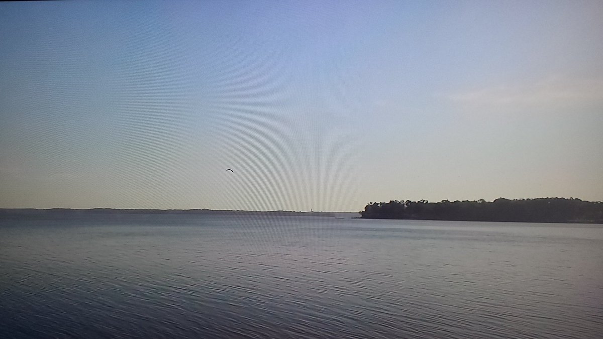 SheShe0430's tweet photo. **EveningBlessing! *&amp;* LoveToALL!*:)**
@TheLadyofGrace @Felicia3151941 @JazzyLadyDay @_JamesReed @Ms_Jackie50 @RanettaWhiting @jlmitche21 :) https://t.co/5vIWEst1VM
