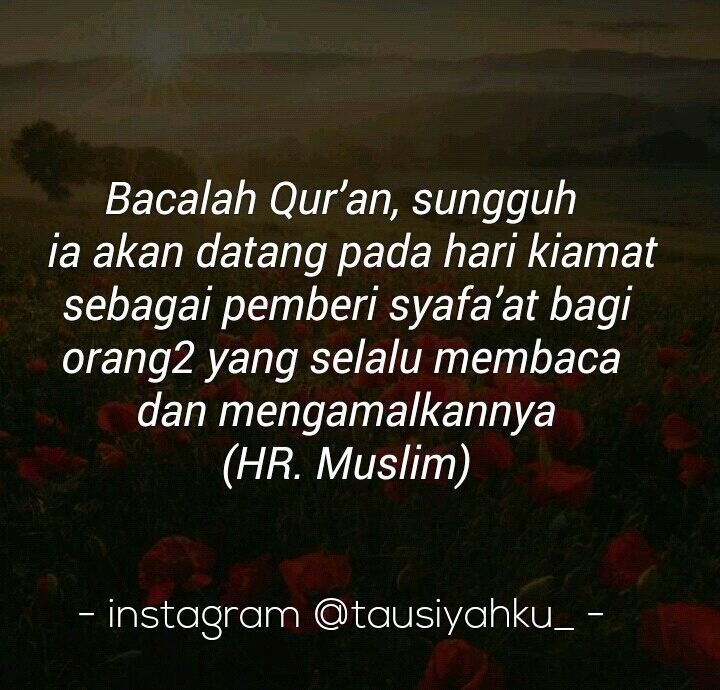 Tausiyahku's tweet photo. Bacalah Qur’an, sungguh ia akan datang pada hari kiamat sebagai pemberi syafa’at bagi orang2 yg selalu membaca &amp; m… https://t.co/mblwAMSR3n https://t.co/b1ppGi3XrS