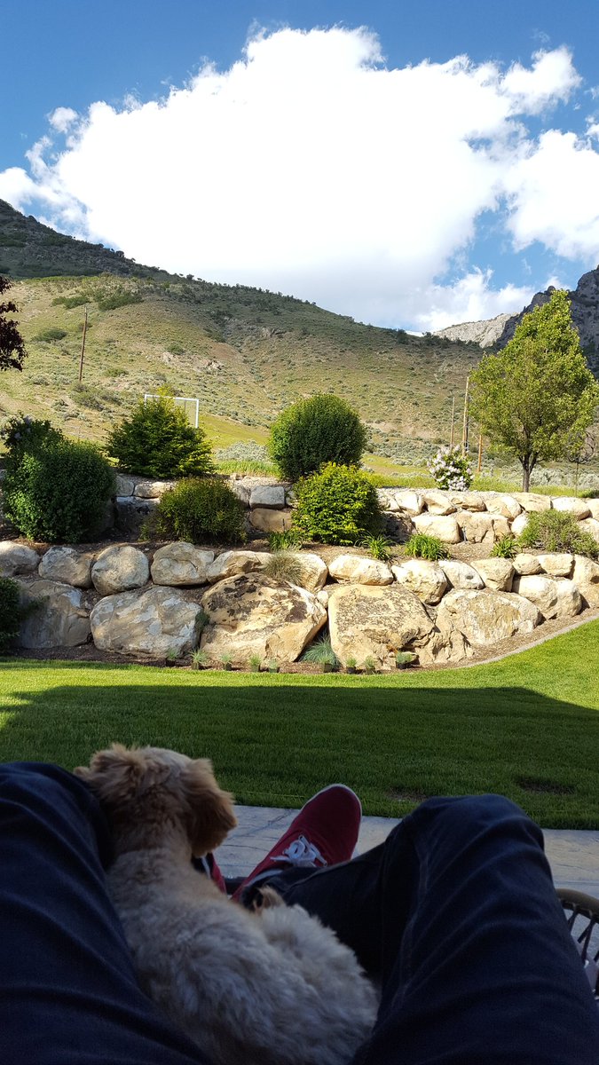 MupheyC's tweet photo. Man, the weather sure is nice. Love hanging with @24za #DogDaysOfMay https://t.co/5XOAPlj1hR