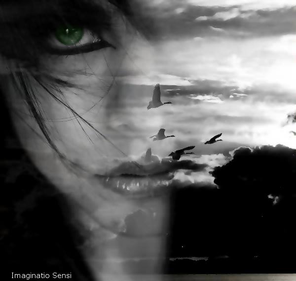 YTSTAR2010's tweet photo. @asemelbohey @dilruba_lees @GualuCL @Shu_la75 @vuhtans @DilrubaLees @AdryMMP @2020sahara @PistacchiOoo @HOMEL3ND @ganseyman @Sugee111 @Stallion_Team @Ruby2211250220 @lv4gab @RaisAlGhousia @TM1BLYWD @oce2005 @ZagoZago3 @PIPOKV @AintitMarvelous @TruTina_ @shaka7171 @JuanSGE @joeldesouza2626 @lynn_nich @TwitWhizz @Alicelovelb @JustbefreeXO @07L0v @vivaciousStar2 @My2Kom @May_MGWV @Anidem805 @Abrazos4u @lei_mgwv @purpleladylov @EternalDahlia @La7li @PaulTwigg4 @M_MartinezRed @Linda_Hermoxita @Sahaday001 @reyad0o0syr @am102358 @qazaax @rorossaa11 @SamyKilany @S__N__N903 #PRINCE
WC Buddy! https://t.co/120p9lM5HD