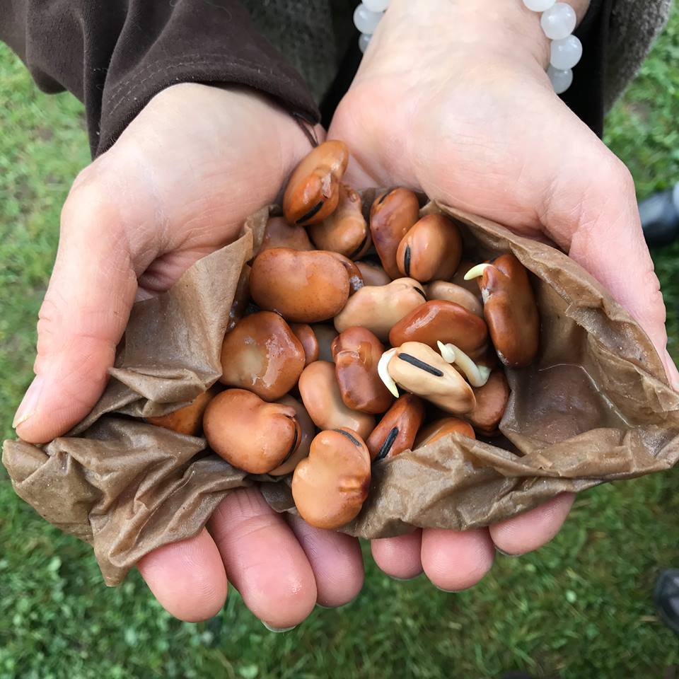 friendoftheplot's tweet photo. Come join us on May 21st! Plant seeds! Weed a bed! Wheel some soil! Enjoy a potluck with friends of the PLOT!
0 am- 3pm, potluck mid-day. https://t.co/yVvnxQJTcm