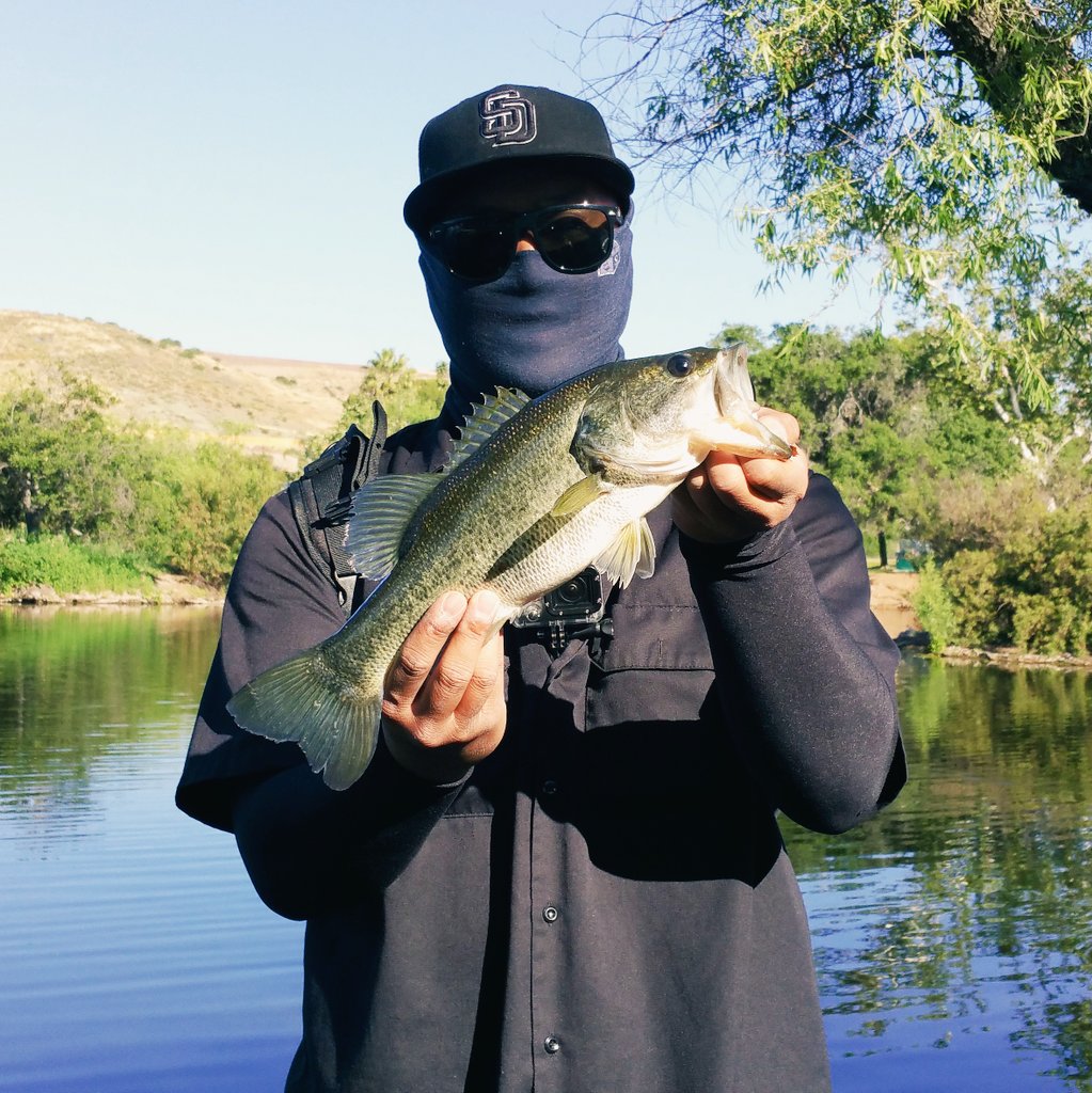 JigJigPow's tweet photo. Got lucky this morning, with this little guy.

#SanteeLakes  #Bass #SanDiegoFishing #SaltyAngler https://t.co/XGidZCSlHH