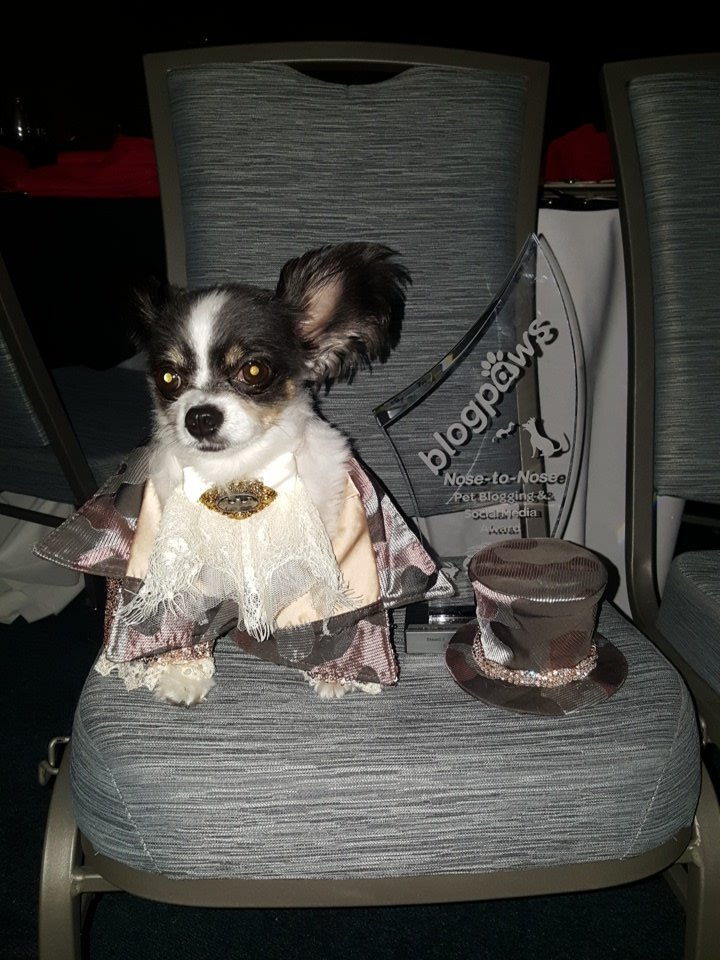 So thankful to the @BlogPaws  team! 😗 #blogpaws