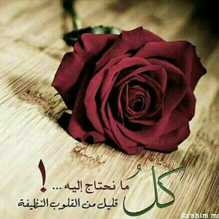 wah_zahra90's tweet photo. أرق القــــلوب قلب يخشى الله
وأعـــــذب الكــلام ذكر الله
وأطهر حب الحب في الله https://t.co/faXbmf5GJF