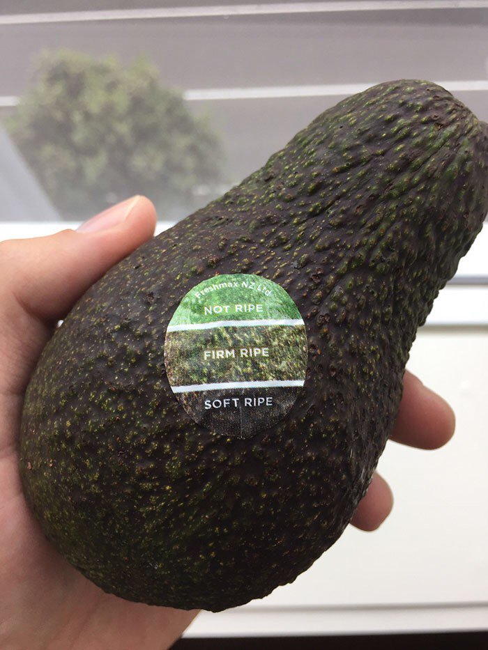 Stoneboard's tweet image. What a fancy avocado sticker 
via @boredpanda 
bit.ly/2rDJVDa 
#design #infographic