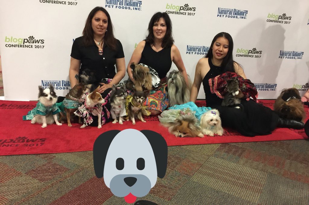 Loving all the love at BlogPaws Conference 2017, Myrtle Beach!  Wish I was there, felt like I was! #blogpaws