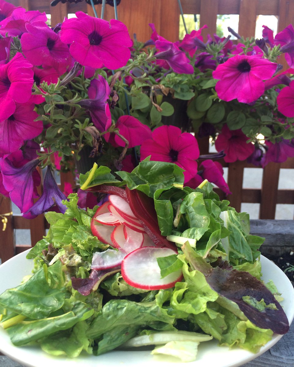 FlatbreadP's tweet image. Market salad! #theproofisinthepurple #local #oragnic #flabread #flatbreadprovidence