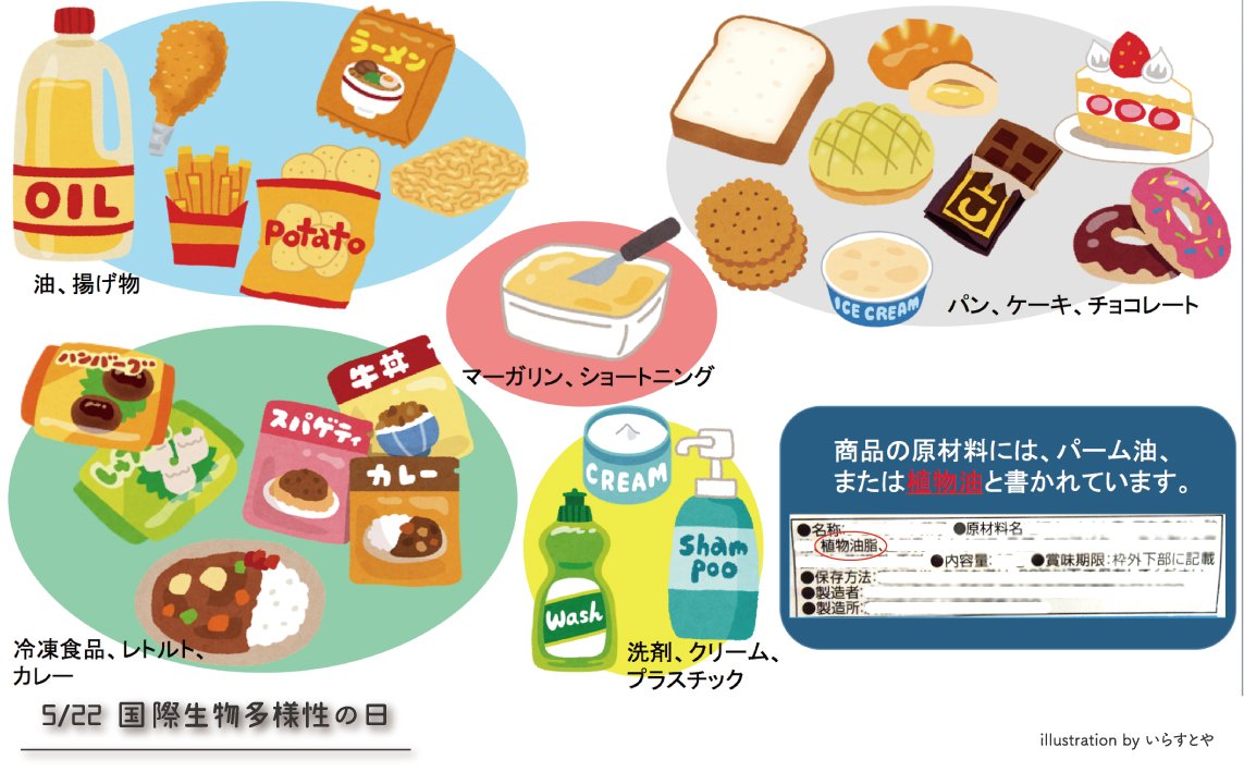 上野動物園 公式 These Produce Are Made From Palm Oil In Southeast Asia Palm Oil Plantations Cause Habitat Loss For Endemic Species