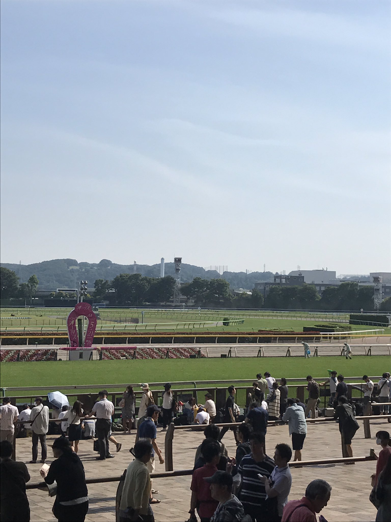 ナオコツ در توییتر 東京10ｒ フリーウェイステークス 本馬場入場曲はユーミンの 中央フリーウェイ 中央フリーウェイ 右に見える競馬場 左はビール工場 この道は まるで滑走路 夜空に続く フリーウェイステークス 中央フリーウェイ 中央道