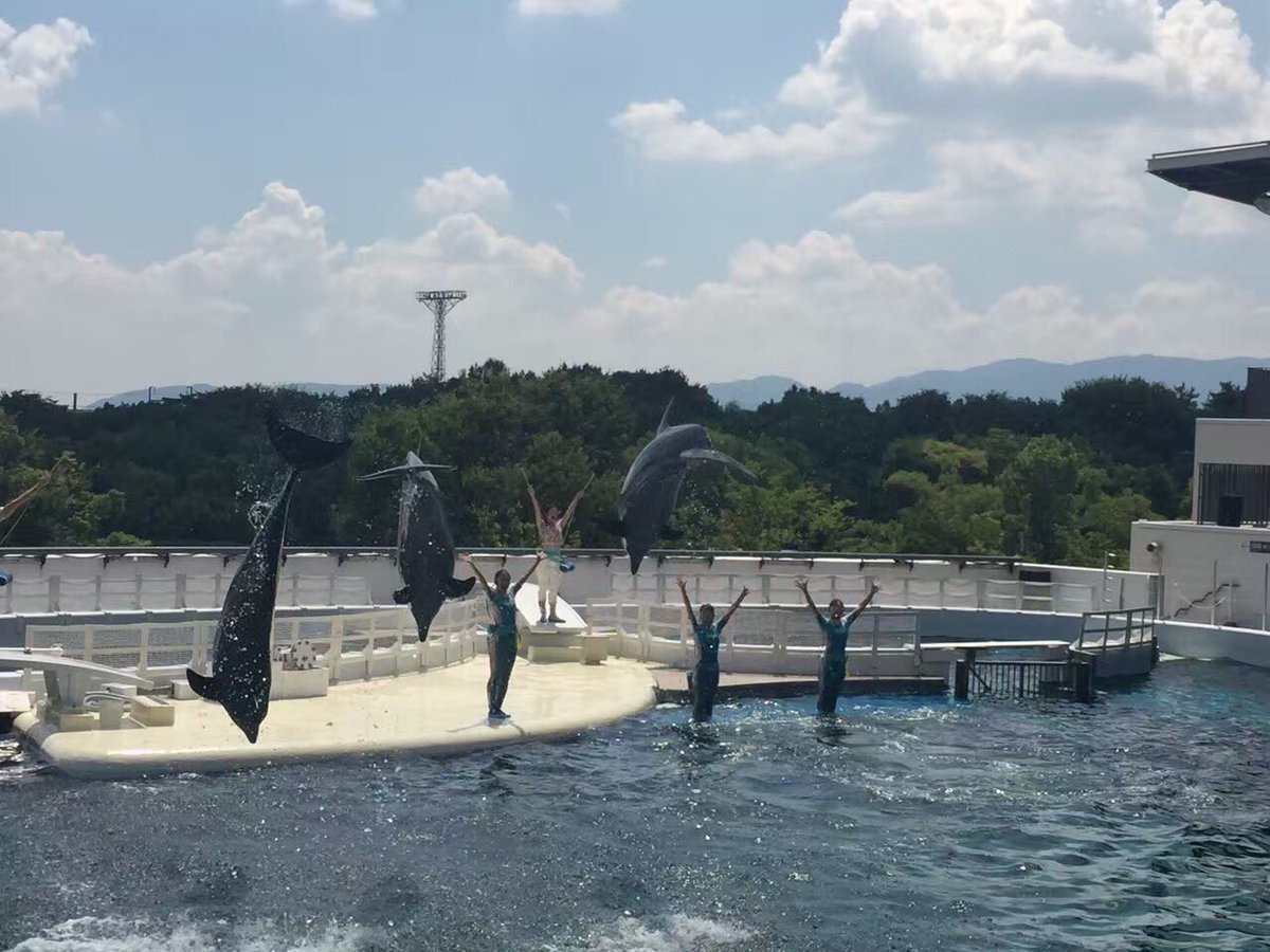 Miko_miaomiao's tweet photo. 京都水族館の🐬🐬🐬
イルカのショー🐬🐬🐬 https://t.co/LHFepFZ1XP