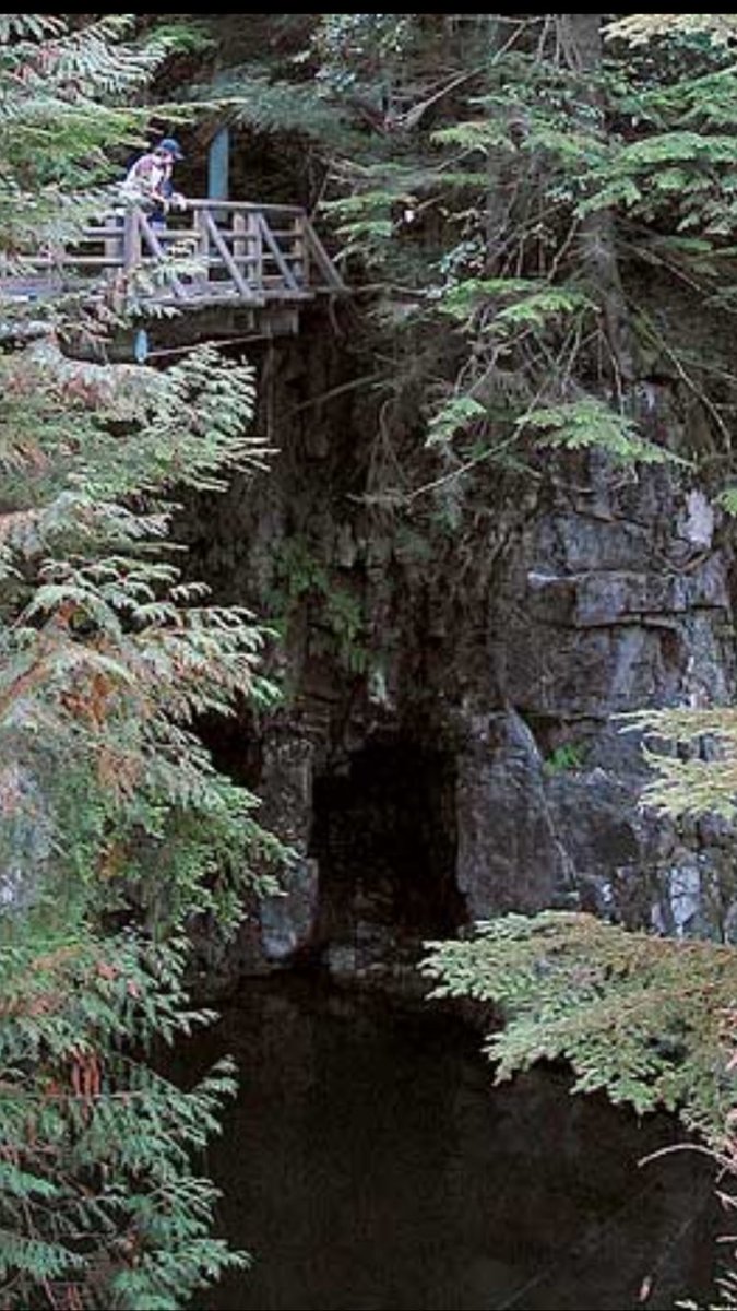Firefighters are in the process of completing a rescue near the fish hatchery on Capilano River. #northvan https://t.co/kHsSWSYGgR
