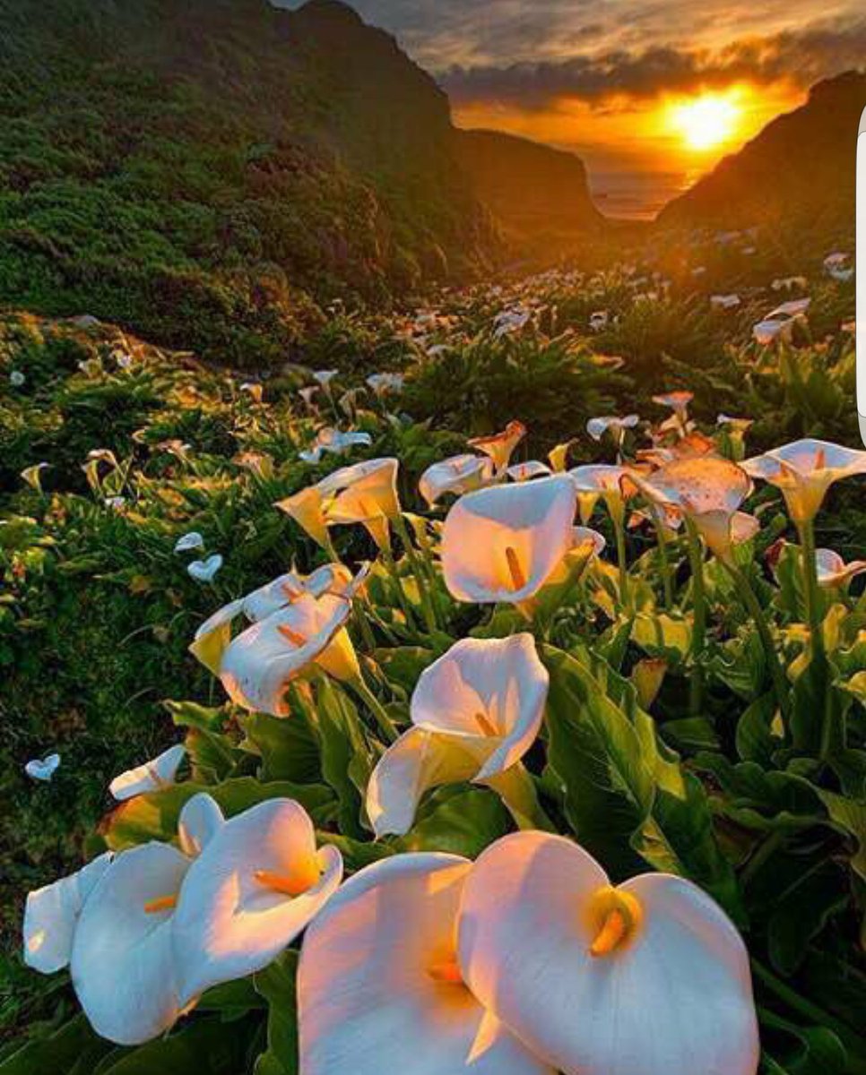 RrraaBa4's tweet photo. #نقرب_من_ربنا_عشان
واشرقت الارض بنور ربها
الرحمن
طوق من الفضل والكرم
والإحسان
فلتشكروه ف السرٍ وف
العلن
وابشروا برضاة والفوزا
بالرضوان https://t.co/2TIxeq9avq