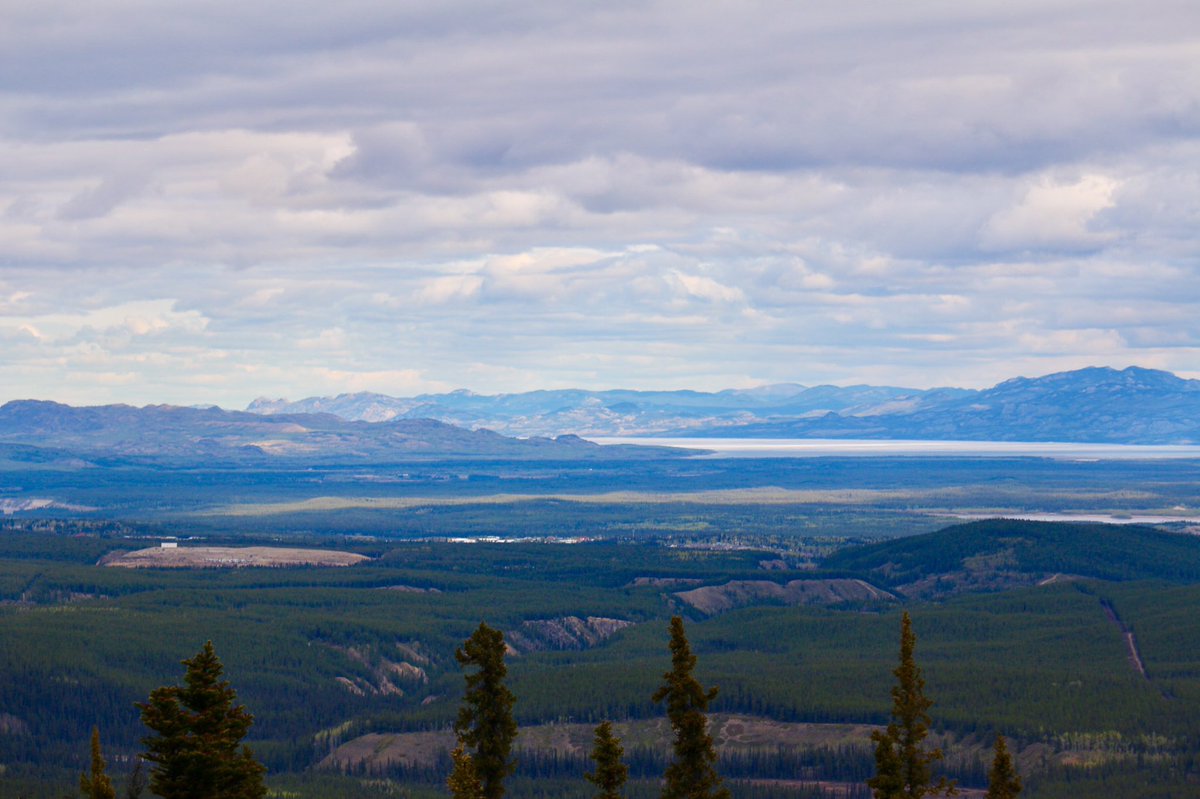 klondikesue's tweet photo. Hiking the Grizzly Goat Trail #whitehorse #yukon #exploreyukon #hiking #hikingwithdogs #lakelaberge #snow #landofthemidnightsun #BucketList https://t.co/Dqh5vp4fps