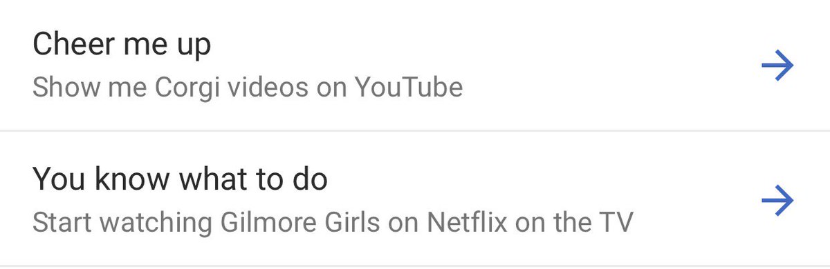 nschimpf920's tweet photo. Wow, Google Assistant really DOES know me well! 🤣 #maybetoowell https://t.co/8nqJeJC59Z
