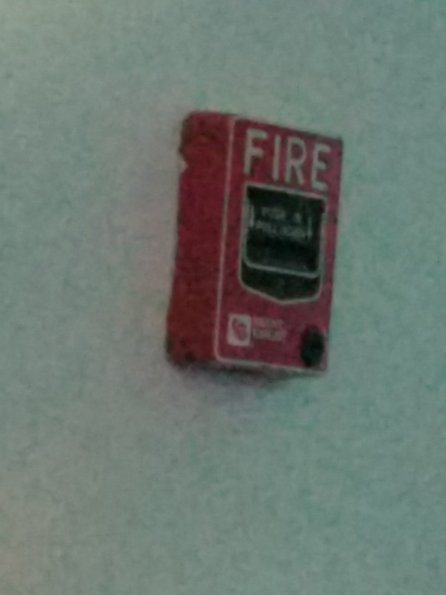 lildashcam's tweet image. is lit @DJRecklessRyan