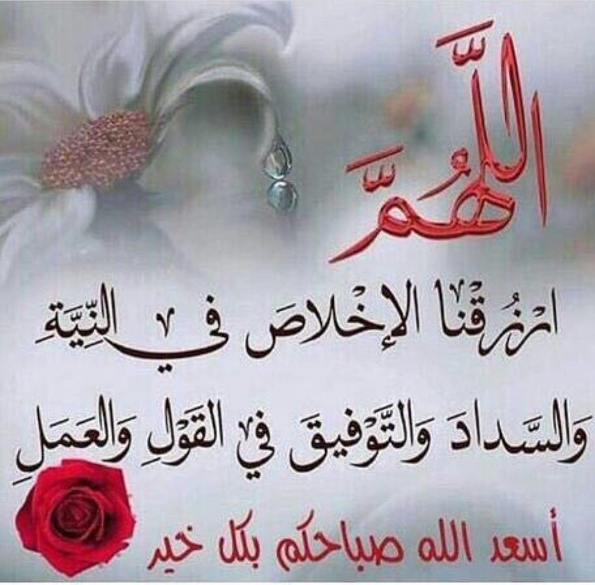 قادح العاصمة (@nayef1990naa) on Twitter photo 