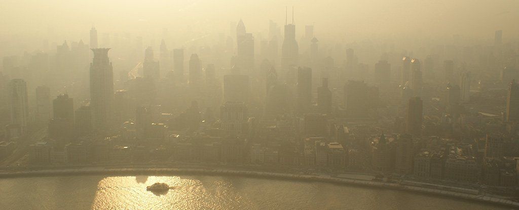 vegucated's tweet photo. Earth Just Passed 410 ppm CO2 Levels for the First Time in Human History https://t.co/NEXFRP85vM #vegansolution https://t.co/9TghWrJBH5