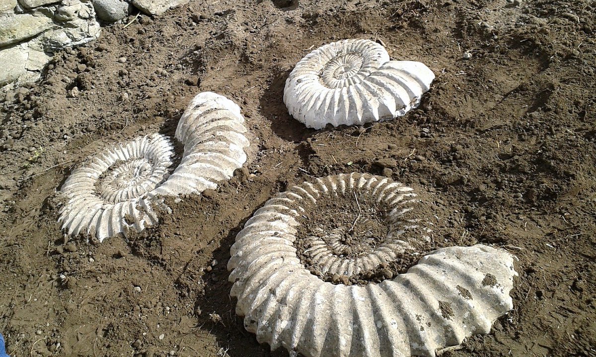 Saltburn in Bloom tweet media