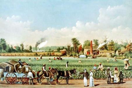 空飛ぶミニットマン En Twitter 綿花プランテーションがある アメリカ版dash村にありがちなこと