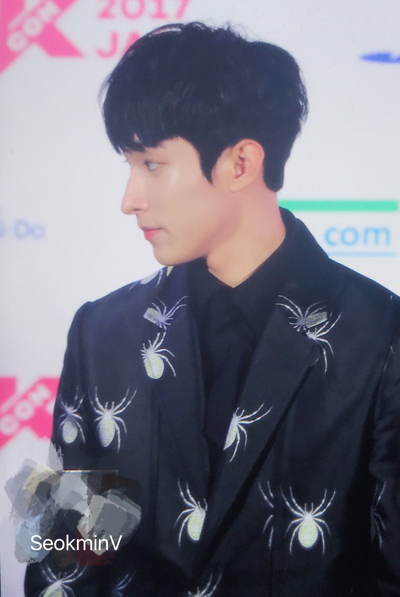 SeokminV's tweet photo. #세븐틴 #도겸 #석민 #SEVENTEEN  170521 KCON Red Carpet https://t.co/AeUa1qqlcX