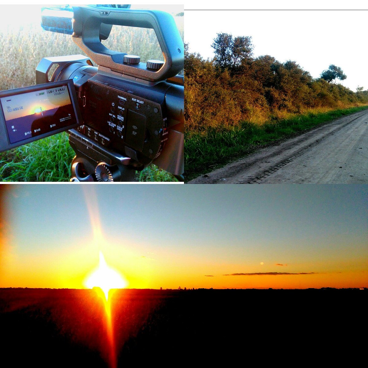 hector73chaco1's tweet photo. Trabajando en el atardecer. Sobre un campo chaqueño https://t.co/s5jHKo42NT