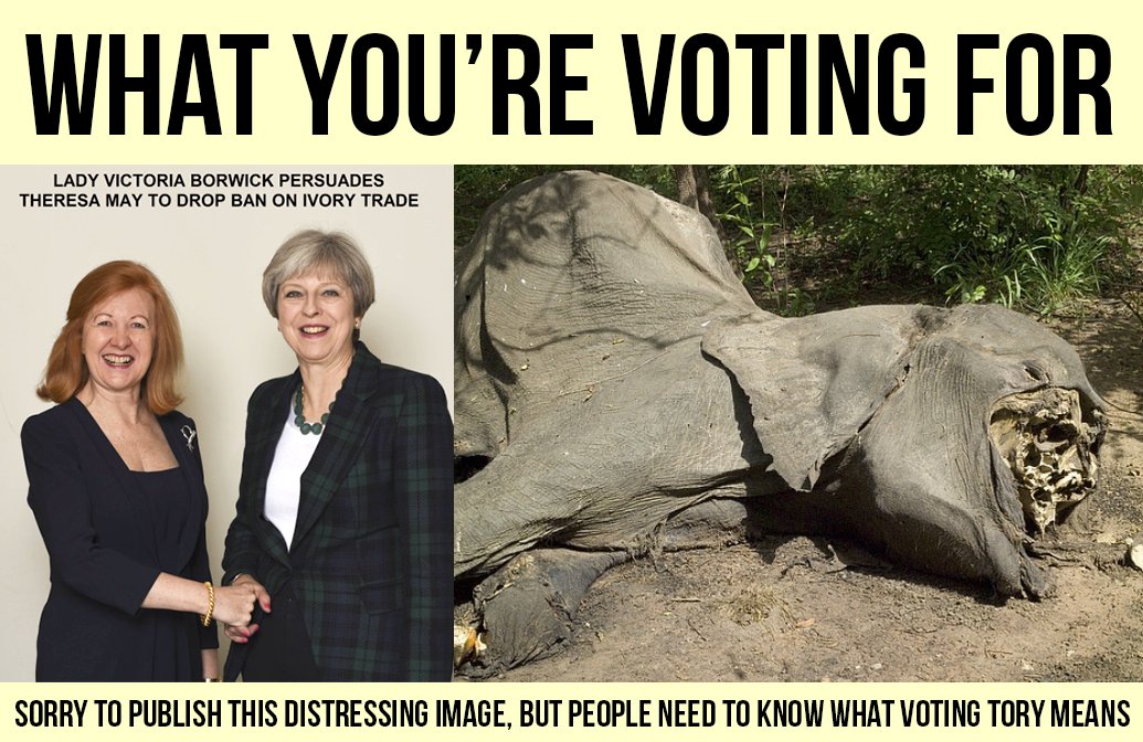How much further do they have to sink to stop you voting for them?
They can't go any further!