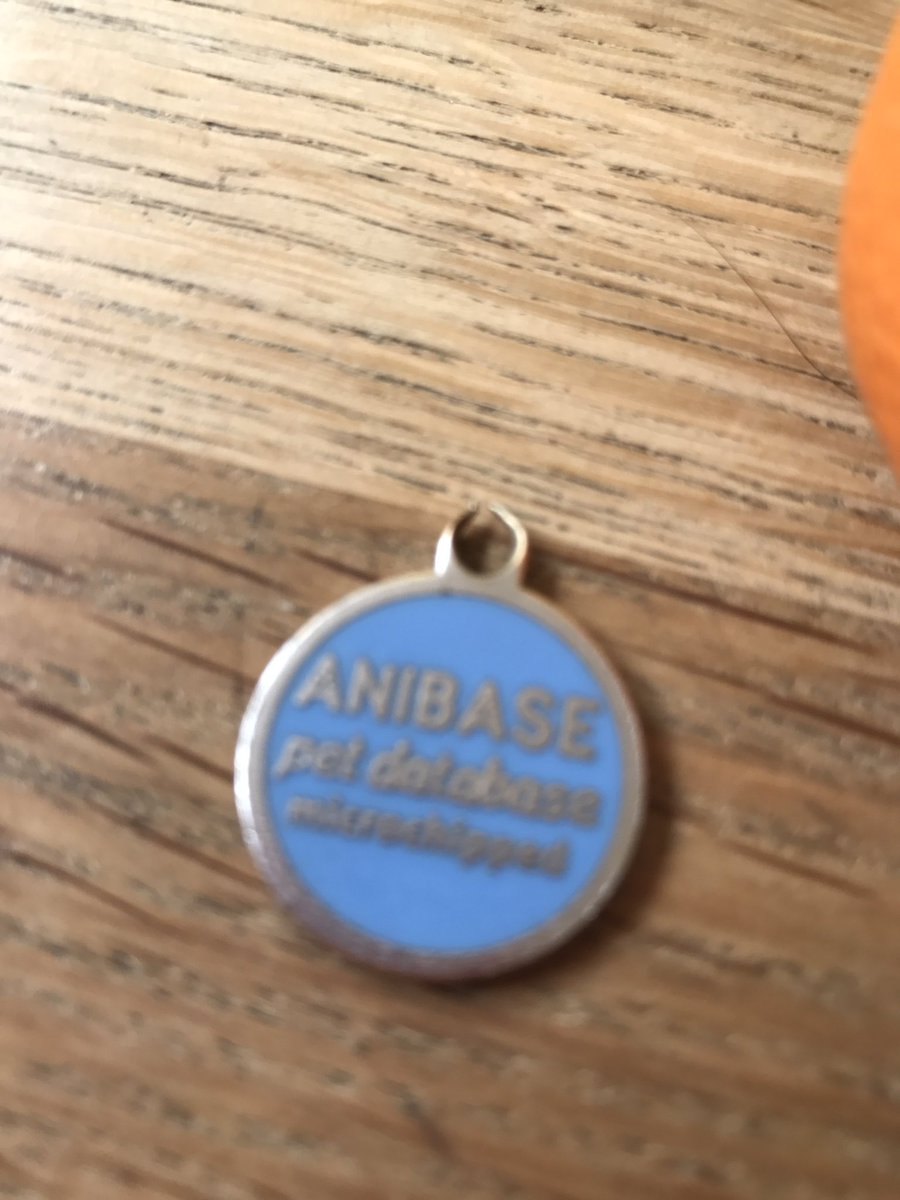 anibase chip