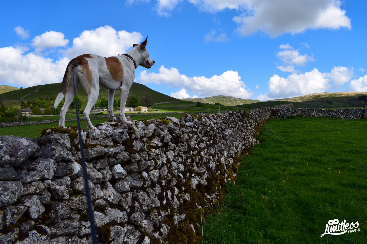 ImagesLimitless's tweet photo. Last weekend in the #YorkshireDales at #MalhamLandscapeTrail #500pxrtg #YourShot #thephotohour #PhotoOfTheDay #Nature #photography #Britain https://t.co/RnARKuzToj