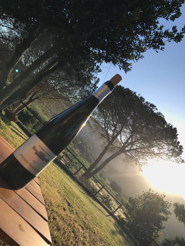 #poggioargentato is perfect for #aperitif , but also with #rawfish and #freshcheese ! Happy #sunday from #luzern ! #flp #fattorialepupille